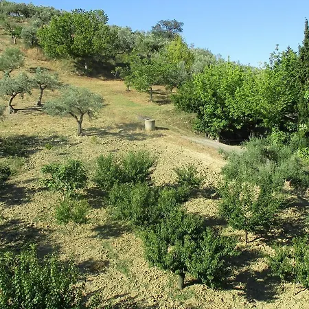 Francesca 3* Spoltore