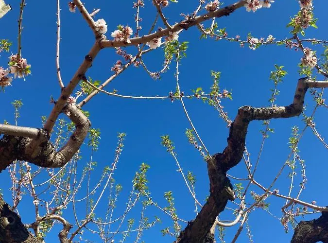 Bed and breakfast Francesca 3*