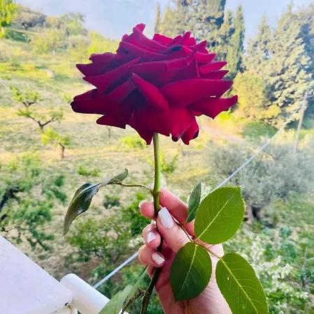 Francesca Bed & Breakfast 3*