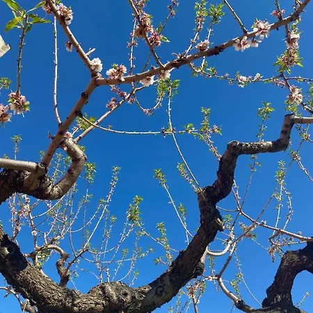 Bed & Breakfast Francesca 3*