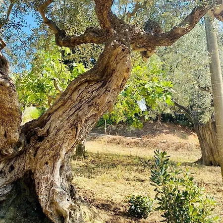 Bed & Breakfast Francesca Spoltore