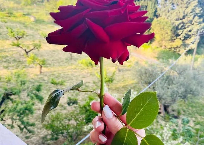 Francesca Alojamento de Acomodação e Pequeno-almoço 3*