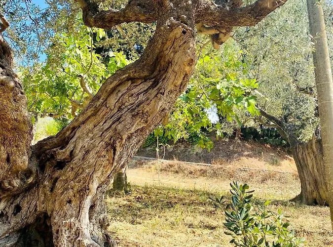 Panzió Francesca Spoltore