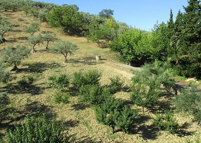 Francesca 3* Spoltore